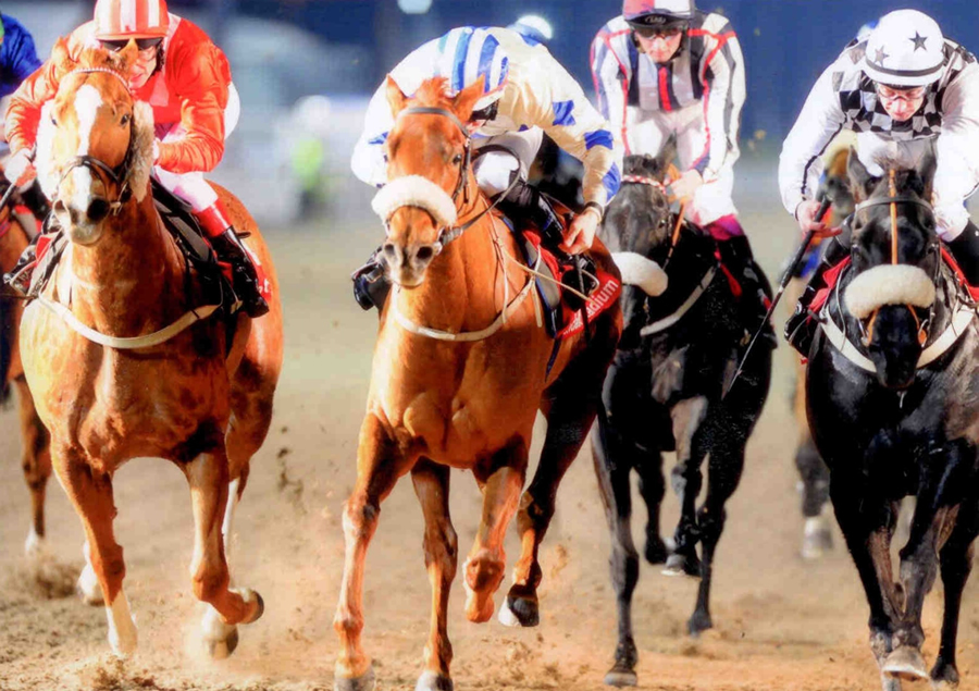 Queen Of the Sand Dundalk Wed 27th Nov 2013